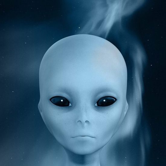 Non-Human Entities and Wholeness and the Implicate Order