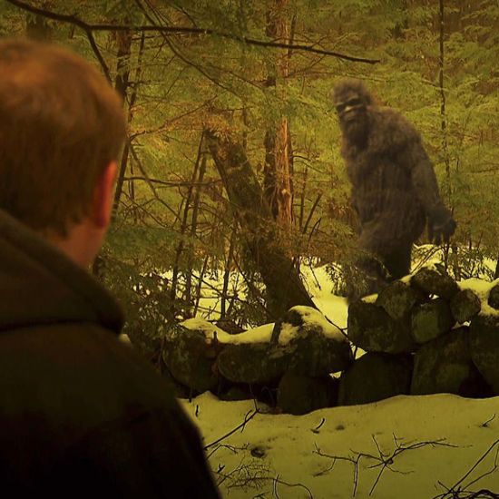 Some Truly Bizarre Accounts of Very Close Encounters with Bigfoot