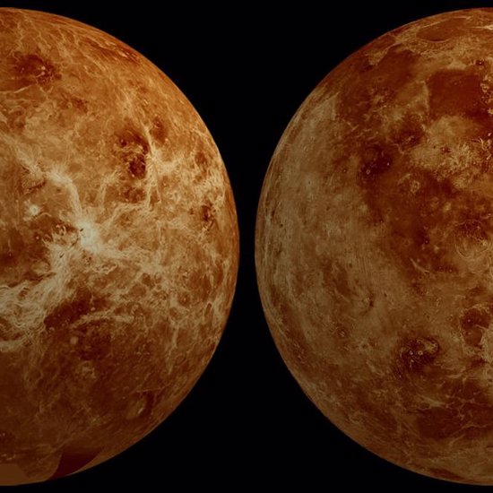 New Discovery May Be Best Evidence Yet of Life on Venus