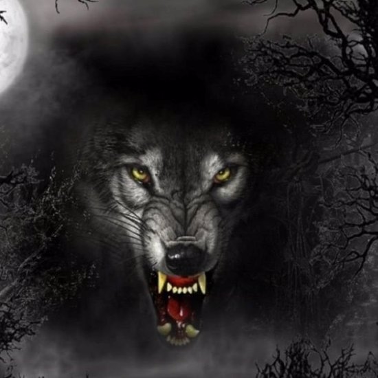 The Strange Mystery of the Hexham Wolf