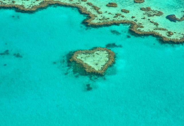 Gigantic Coral Reef is Taller Than the Empire State Building