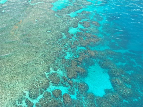 Great Barrier Reef1 570x428