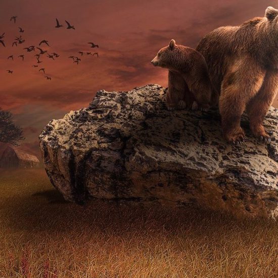 Strange Tales of Even Stranger Bears: Ghostly and Huge