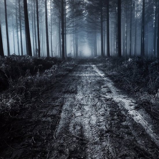 Supernatural Strangeness at New Jersey’s Most Cursed and Haunted Road