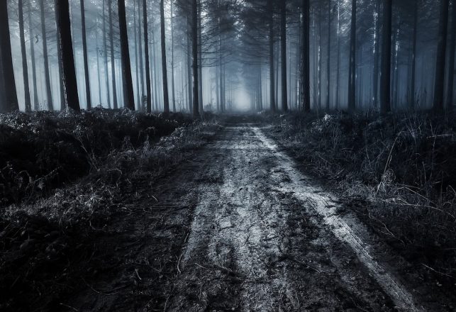 Supernatural Strangeness at New Jersey’s Most Cursed and Haunted Road