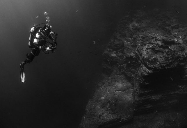 Mysterious Underwater ‘Crop Circles’ Found Off the Coast of Australia