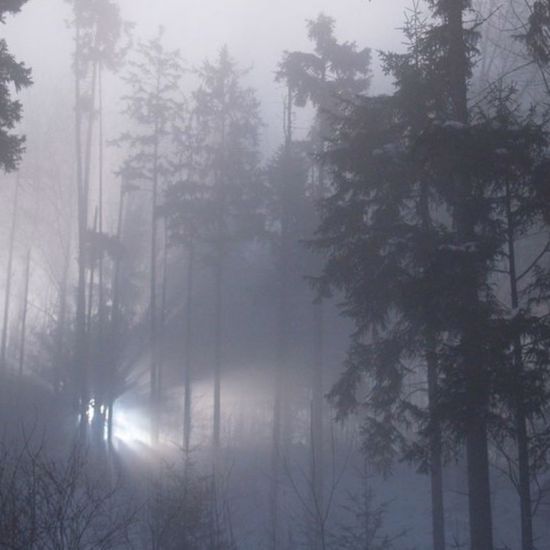 The Rendlesham Forest “UFOs”: A Handful of Theories