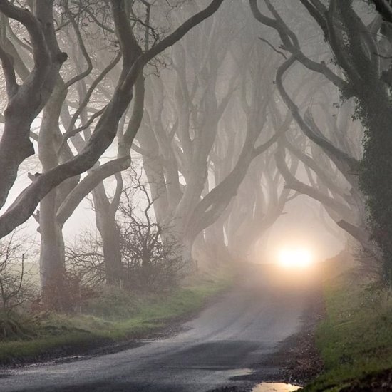 The Spooky Haunting of Seven Sisters Road