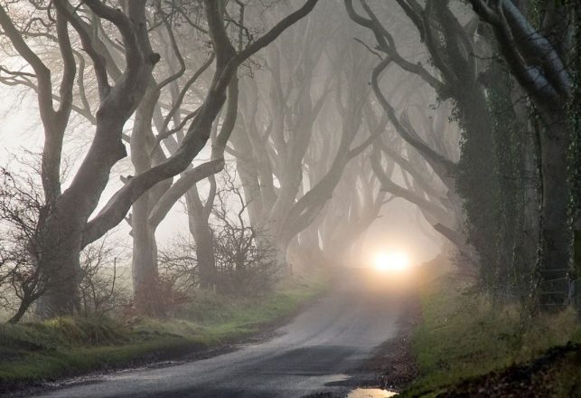 The Spooky Haunting of Seven Sisters Road