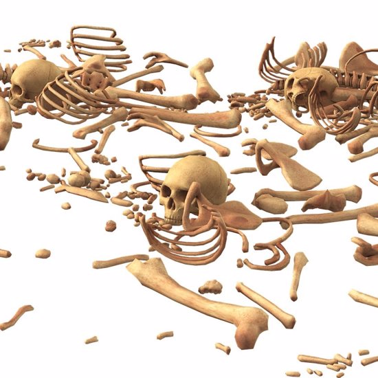 Mysterious Mass Grave Unearthed in The Netherlands