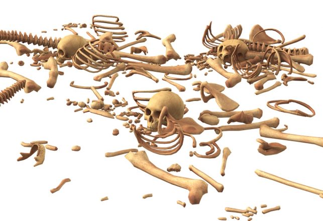 Mysterious Mass Grave Unearthed in The Netherlands