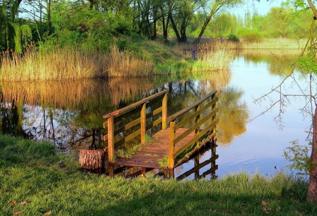 Mysterious “Creature” Being Blamed for Numerous Zimbabwe Bridge Deaths