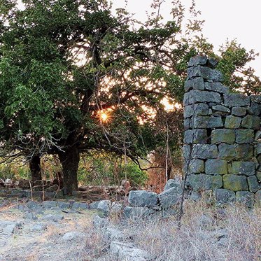 Ancient Fort From King David’s Era Unearthed In Israel