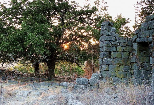 Ancient Fort From King David’s Era Unearthed In Israel