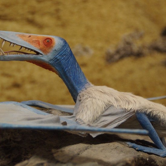 Ancient Fossils Belonged to Toothless Pterosaurs and a New Species