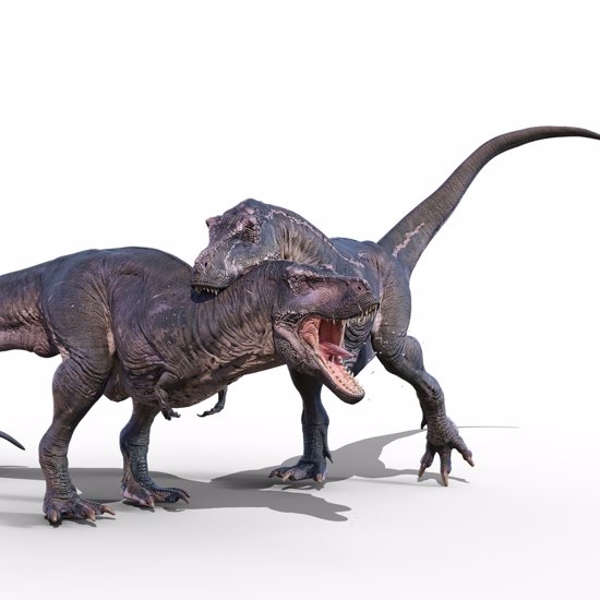 “Dueling Dinosaurs” Who Fought to the Death Will Be Displayed to the Public