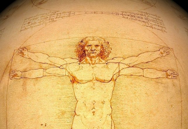 The Da Vinci Cold? High Levels of Living Bacteria Found on Leonardo’s Drawings