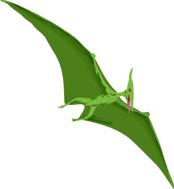Pterosaur1 570x619