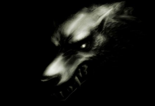 The Mysterious Dog Spirit Familiars of Japan