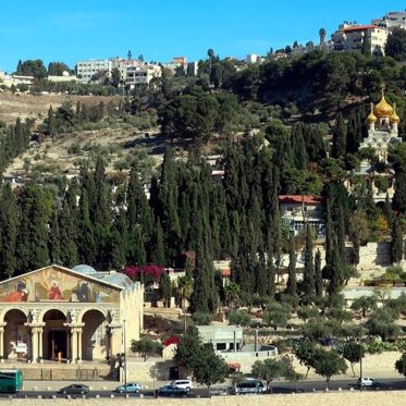 Ritual Bath Discovered at Biblical Location of Gethsemane May Prove its Existence