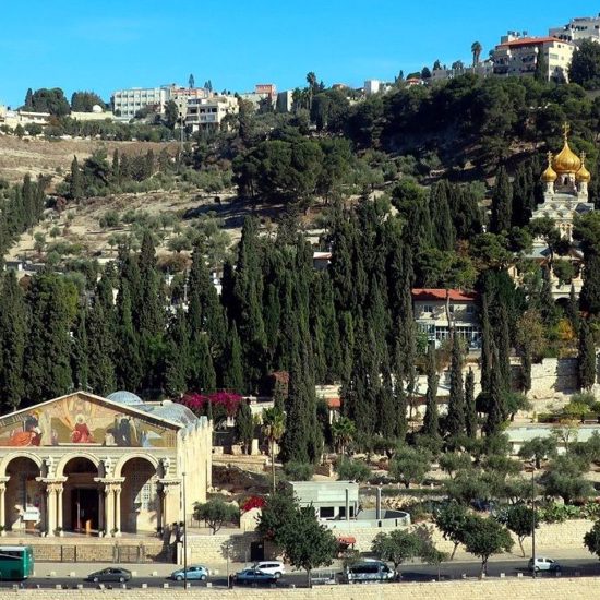 Ritual Bath Discovered at Biblical Location of Gethsemane May Prove its Existence