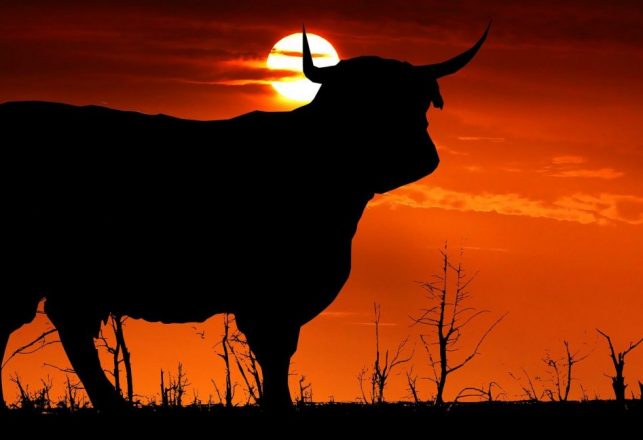 Secret Surveillance of the U.S. Cattle Herd, Part 1