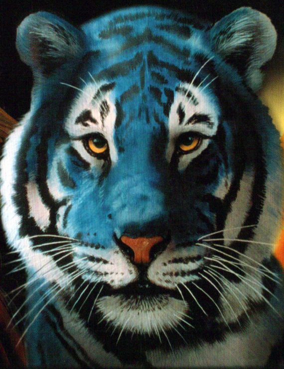 Blue tiger full face William Rebsamen 570x740