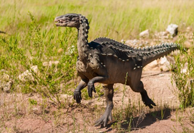 First Baby Tyrannosaur Bones Unearthed in Canada and USA