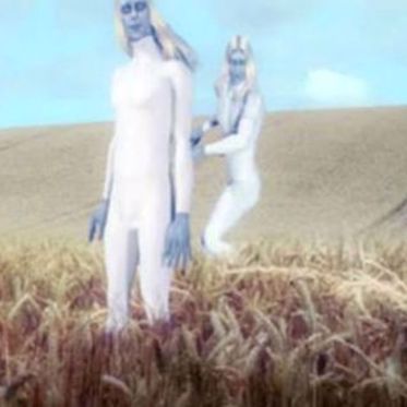 An Ex-Military Man and the Strange Story of the Tall White Aliens