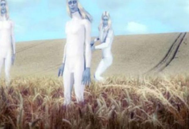 An Ex-Military Man and the Strange Story of the Tall White Aliens