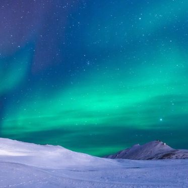 Solar Wind is Mysteriously Attracted to the North Pole More Than the South Pole