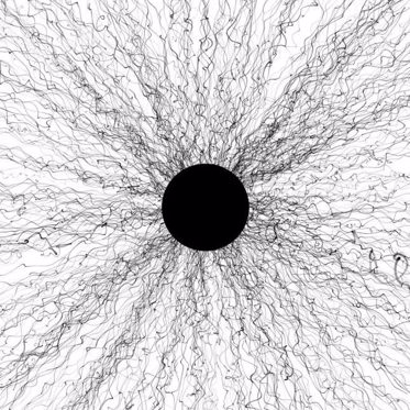 Extreme Black Holes Appear to Have Wavy Hair