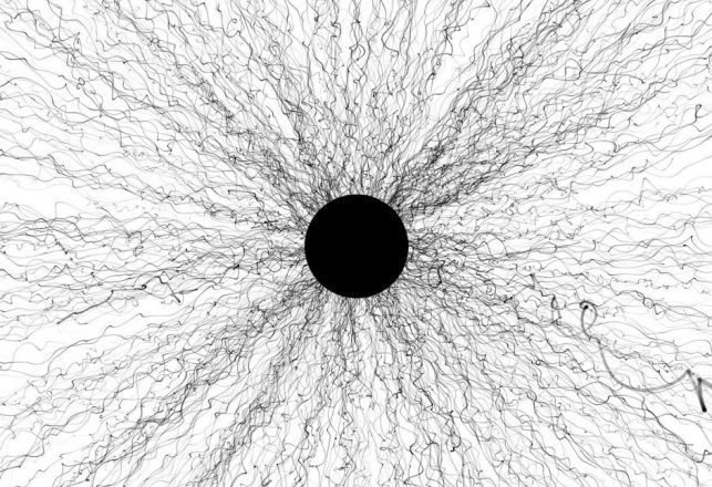 Extreme Black Holes Appear to Have Wavy Hair