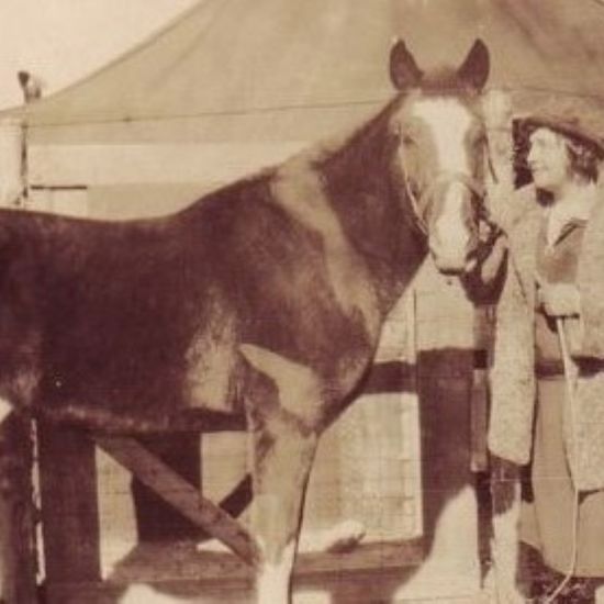 The Very Weird Story of Lady, the Psychic Wonder Horse
