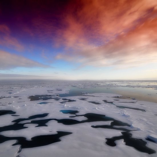 Mysterious Lifeforms Discovered Underneath Antarctica Ice