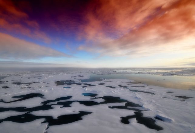 Mysterious Lifeforms Discovered Underneath Antarctica Ice