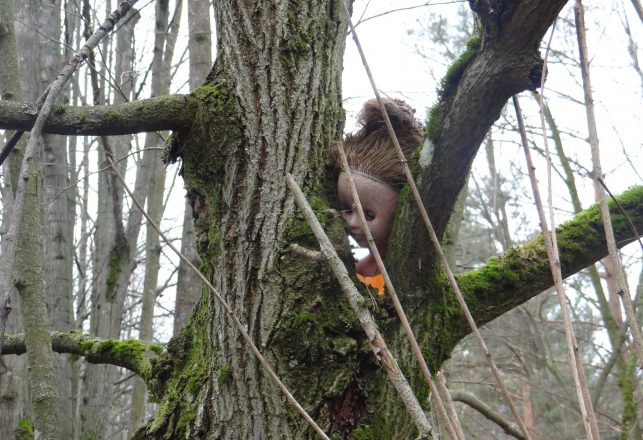 Dozens of Terrifying Dolls Nailed to Trees in Cannock Chase Woods