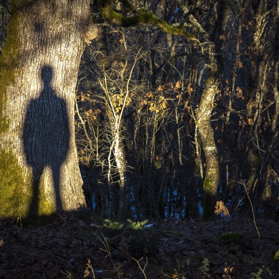 Real Stories of Murdered Victims’ Ghosts Haunting Their Killers
