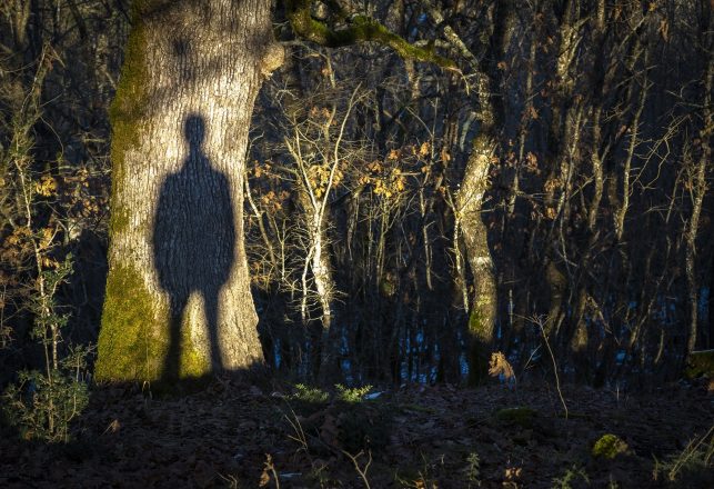 Real Stories of Murdered Victims’ Ghosts Haunting Their Killers