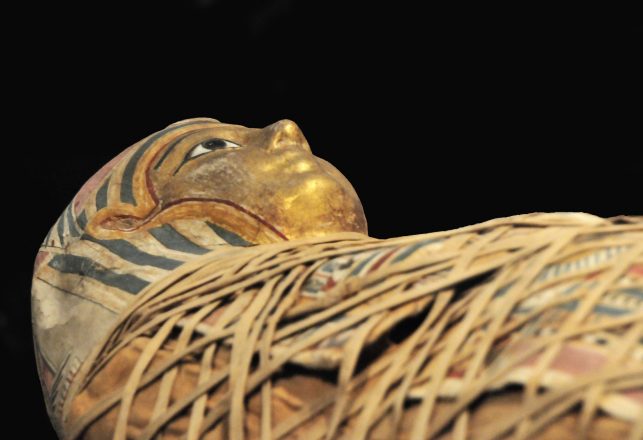 Mummy With a Mysterious Gold Tongue Unearthed in Egypt