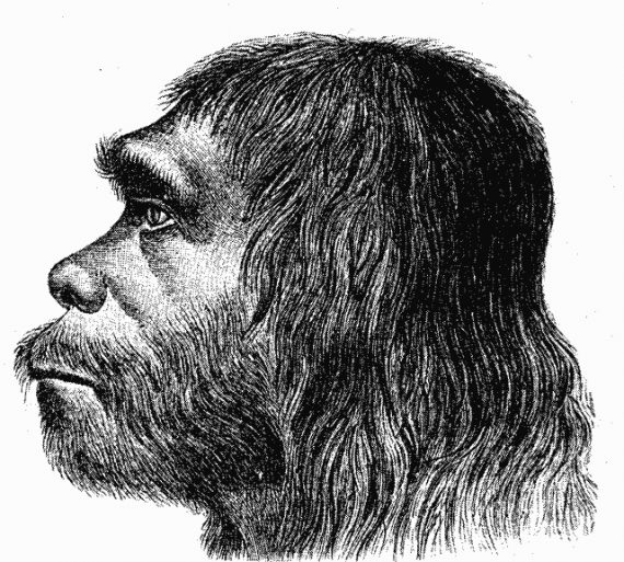 Neanderthal 570x513
