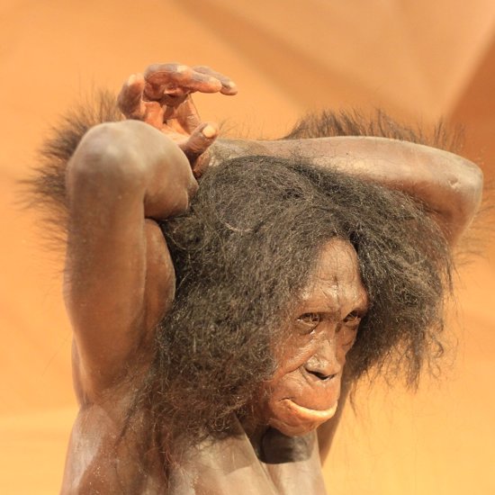 Ancient Teeth May Have Belonged to a Neanderthal/Homo Sapien Hybrid