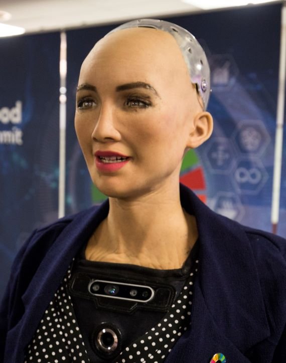 Sophia at the AI for Good Global Summit 2018 27254369347 cropped