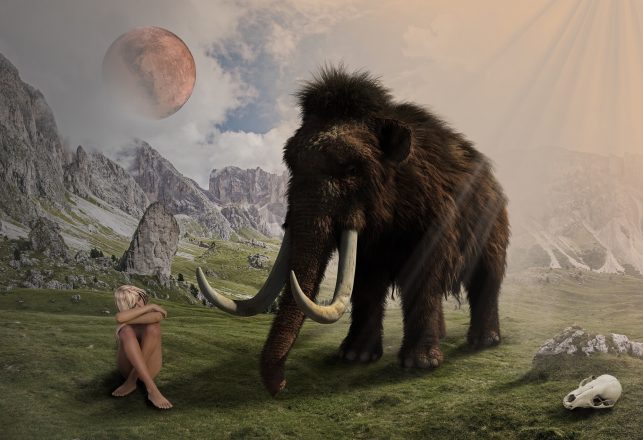 Creatures That May Have Lived Longer Than We Thought: The Mammoth, Part 1