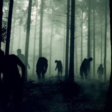 The Grim Tale of the Ibadan Forest of Horrors