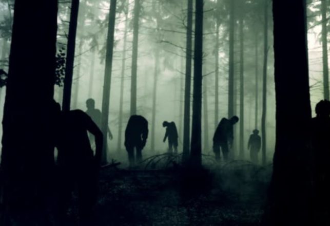 The Grim Tale of the Ibadan Forest of Horrors