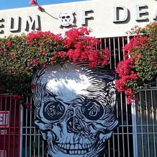 The Mysterious and Macabre Museum of Death