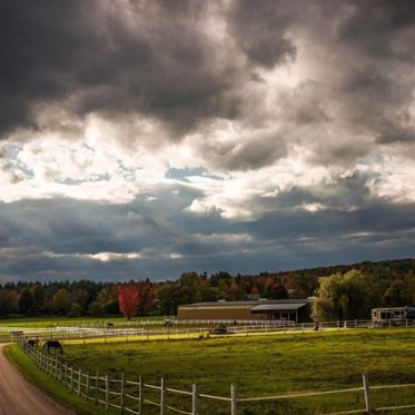 Vermont, USA: A Menagerie of Monsters