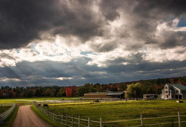 Vermont, USA: A Menagerie of Monsters