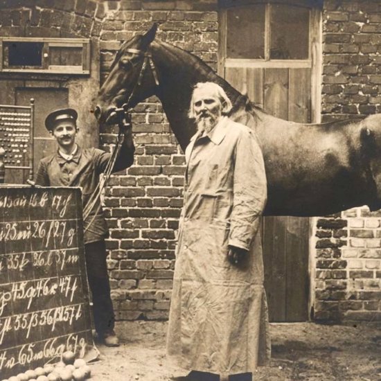 Clever Hans: The Wonder Horse Who Could Do Math and Other Amazing Things